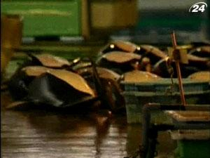 Япония потратила на китоловство $ 30 млн предназначенных на восстановление