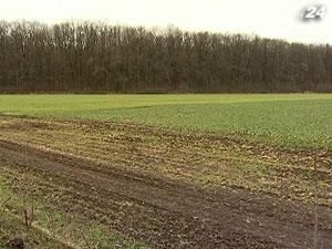 Калетник: Мораторий на продажу земли продлят до 2013 года