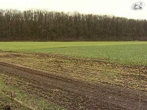 Калетник: Мораторий на продажу земли продлят до 2013 года