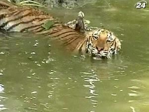 Вблизи реки Меконг найдены 200 новых видов животных и растений Вблизи реки Меконг найдены 200 новых видов животных и растений