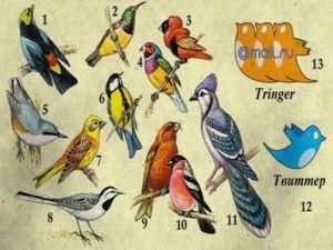 Российскому Twitter'у придумали название - Tringer Российскому Twitter'у придумали название - Tringer