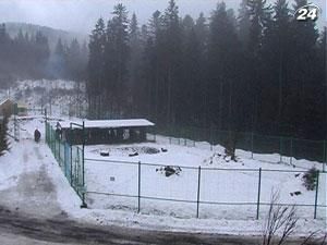 В Украине открыли первый реабилитационный центр для бурых медведей