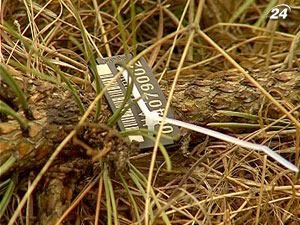 С 15 декабря в лесхозах Крыма начнется заготовка новогодних деревьев С 15 декабря в лесхозах Крыма начнется заготовка новогодних деревьев