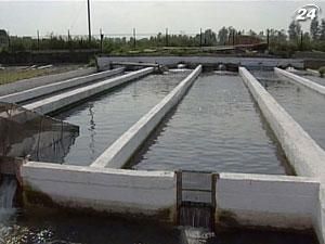 У 2011 р. імпорт риби в Україні скоротився на 20% У 2011 р. імпорт риби в Україні скоротився на 20%