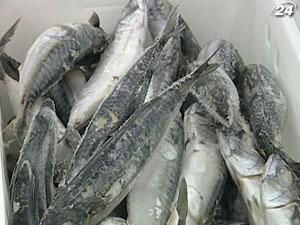 В Украине появится сертификат происхождения рыбы