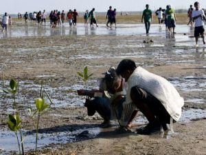 На Філіппінах проведуть масове поховання жертв урагану На Філіппінах проведуть масове поховання жертв урагану