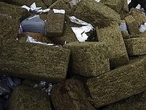 Бразилія: Поліція конфіскувала 14 тонн "трави" Бразилія: Поліція конфіскувала 14 тонн "трави"