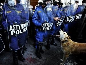 Time назвал персоной 2011 года собаку-демонстранта Time назвал персоной 2011 года собаку-демонстранта