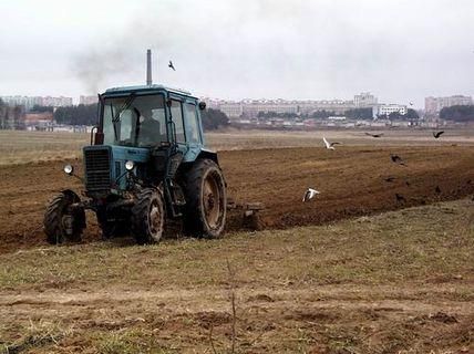 Верховна Рада ще на рік заборонила продавати сільгоспземлю