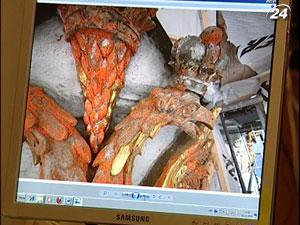 В Киево-Печерском заповеднике добрались до гигантских орлов