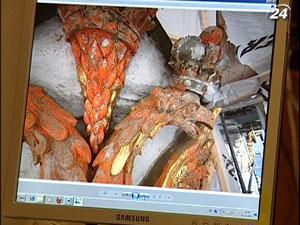 В Киево-Печерском заповеднике добрались до гигантских орлов В Киево-Печерском заповеднике добрались до гигантских орлов