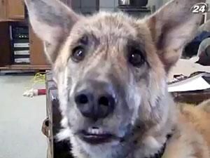 Youtube составил рейтинг 10 самых популярных роликов 2011 года Youtube составил рейтинг 10 самых популярных роликов 2011 года