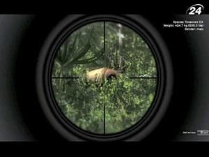 Expansive Worlds работает над симулятором охоты Expansive Worlds работает над симулятором охоты