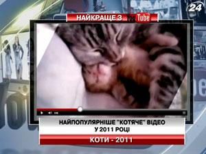 Найпопулярніше "котяче" відео у 2011 році