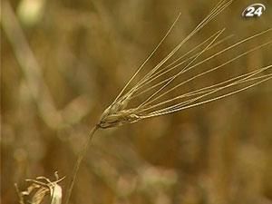 Страховики створять Аграрний пул і працюватимуть на селі Страховики створять Аграрний пул і працюватимуть на селі