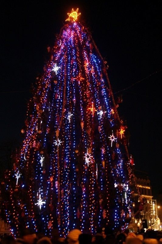 Умови акції "Ялинка - 2012" Умови акції "Ялинка - 2012"