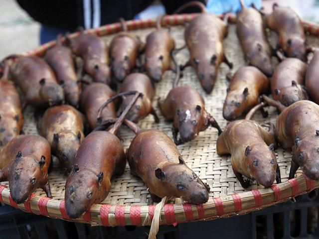 Во Вьетнаме любят есть жареных крыс