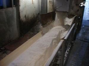 Украинские заводы на 50% увеличили производство сахара Украинские заводы на 50% увеличили производство сахара