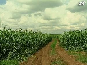 Аграріїв профінансують лише на третину Аграріїв профінансують лише на третину