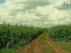 Аграриев профинансируют лишь на треть