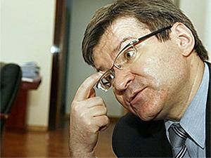 Немиря: Опозиція не зможе створити партію-слона Немиря: Опозиція не зможе створити партію-слона