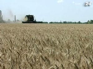 Гідрометцентр: Потепління може позитивно позначитися на врожайності Гідрометцентр: Потепління може позитивно позначитися на врожайності