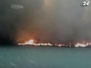 У Чилійському національну парку масштабна пожежа У Чилійському національну парку масштабна пожежа