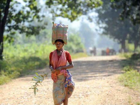 У Індії вбили дівчинку, щоб пожертвувати богам її печінку У Індії вбили дівчинку, щоб пожертвувати богам її печінку