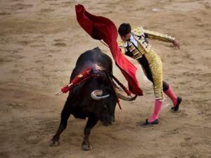 В Іспанії з 1 січня заборонили кориду В Іспанії з 1 січня заборонили кориду