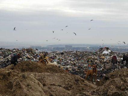 В Івано-Франківській області на сміттєзвалищі знайшли тіла двох жінок В Івано-Франківській області на сміттєзвалищі знайшли тіла двох жінок