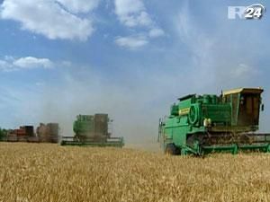 Эксперты: Пшеница в 2012 году будет дешевле чем кукуруза