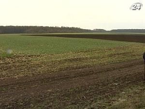 Депутати переглянуть норми придбання землі в одні руки Депутати переглянуть норми придбання землі в одні руки