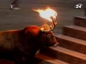 В Каталонии запретили корриду, но позволили другие "игры" с быками