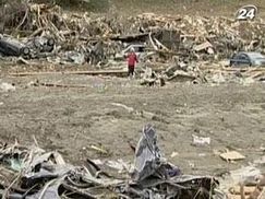 Итоги года: Землетрясение в Японии стал черной страницей в истории страны