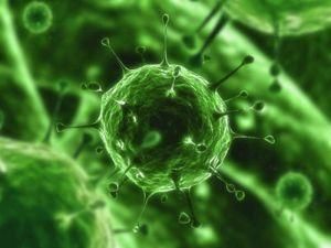 Ученые предупреждают о смертельном вирусе