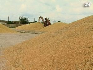 Експорт зерна зросте до 13 млн тонн