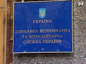Киев не будет отвечать на оскорбления русского санитара