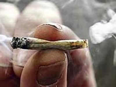 Американські вчені переконані, що марихуана не шкідливіша за тютюн Американські вчені переконані, що марихуана не шкідливіша за тютюн