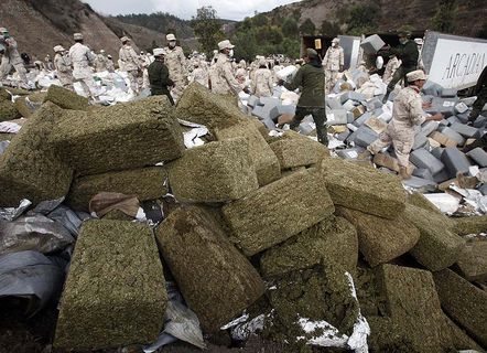 У Мексиці за рік у нарковійнах загинуло 13 тисяч осіб