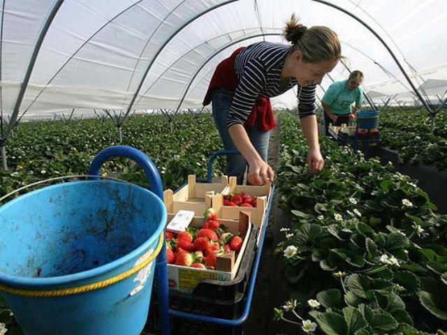 Украинцев в Италии будет ждать возможная депортация Украинцев в Италии будет ждать возможная депортация