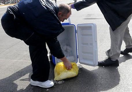 Мексиканські лікарі ледь не загубили донорське серце по дорозі в лікарню