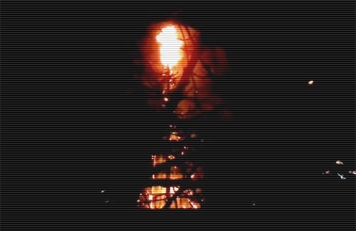 В Полтаве помянули сгоревшую новогоднюю елку