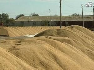 Переходящие запасы зерна составят 20 млн тонн