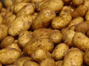 Продукти збережуть цінову стабільність до кінця зими Продукти збережуть цінову стабільність до кінця зими