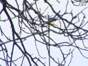 Эксперты: Украина может обеспечить себя альтернативным газом Эксперты: Украина может обеспечить себя альтернативным газом