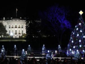 За огорожу Білого дому кинули димову шашку За огорожу Білого дому кинули димову шашку