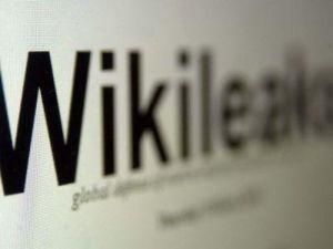 Wikileaks: Американцям доповідали, що Партія регіонів складається зі злочинців 