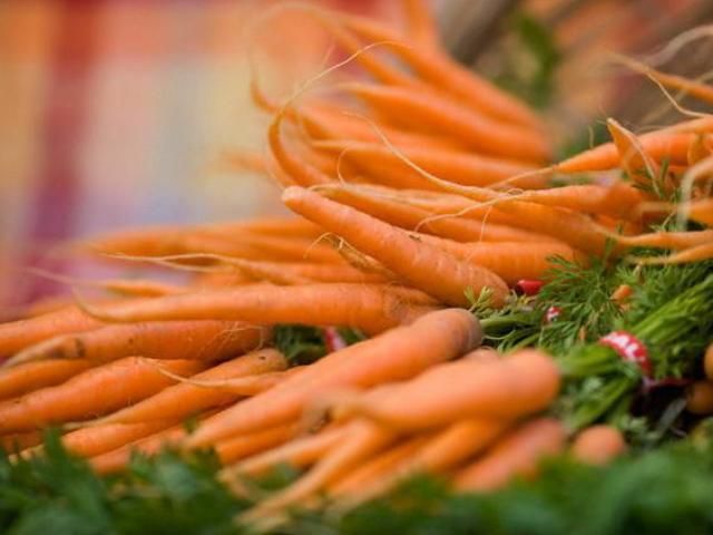 Україна стала лідером з вирощування моркви в Європі