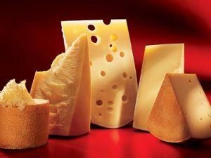 В українських сирах пальмової олії не знайшли В українських сирах пальмової олії не знайшли