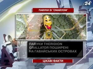 Цікаві факти про павуків зі “смайлом”